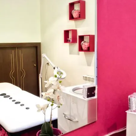 Hotel Hotel&spa De Mestas 3*